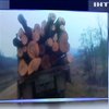 В Черновицкой области задержали грузовик с незаконно срезанным буком