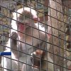 Карантин спричинив "бебі-бум" у Миколаївському зоопарку