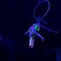 У Хмельницькому артистка цирку впала з висоти під час номера (відео)