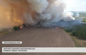 На Миколаївщині горять ліси