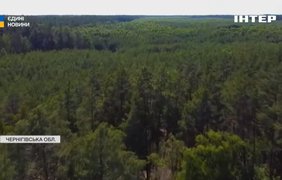 На Чернігівщині впроваджують екопрограму FOREST RECOVERY